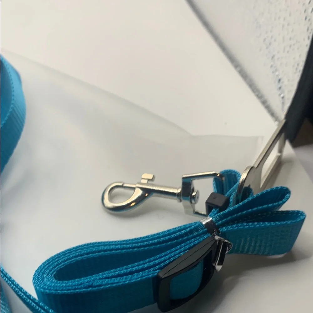 Stylish Blue Cat Harness and Leash Combo